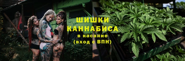 индика Волосово
